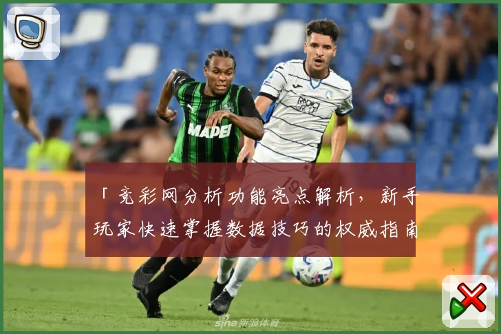 「竞彩网分析功能亮点解析，新手玩家快速掌握数据技巧的权威指南」