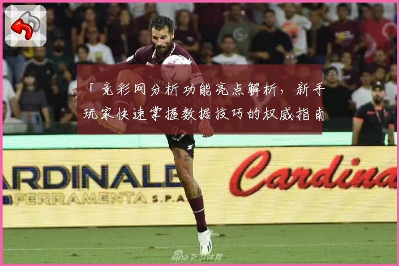 「竞彩网分析功能亮点解析，新手玩家快速掌握数据技巧的权威指南」
