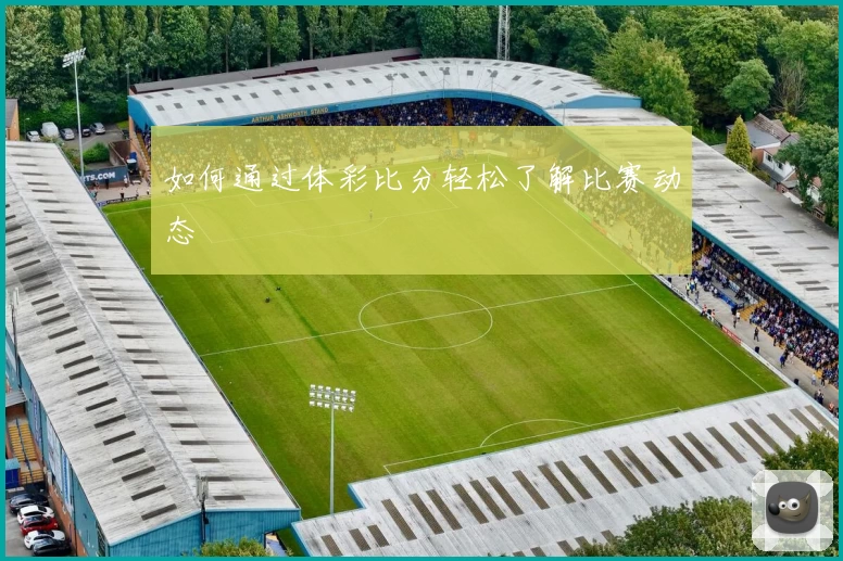 如何通过体彩比分轻松了解比赛动态