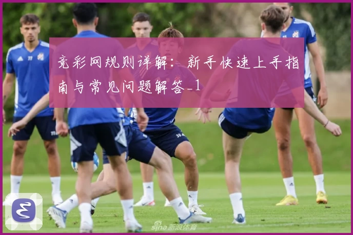 竞彩网规则详解:新手快速上手指南与常见问题解答_1