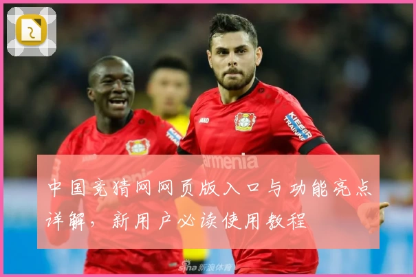 中国竞猜网网页版入口与功能亮点详解，新用户必读使用教程