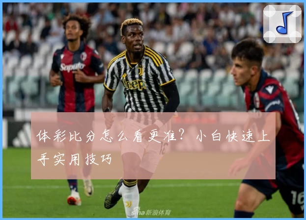 体彩比分怎么看更准？小白快速上手实用技巧
